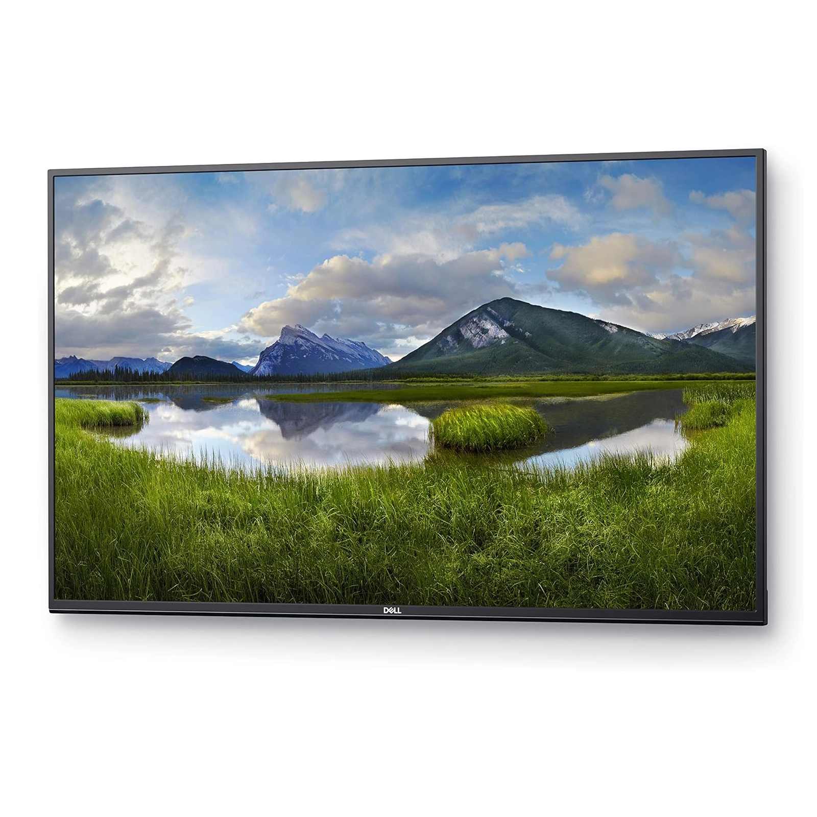C5519Q 55″