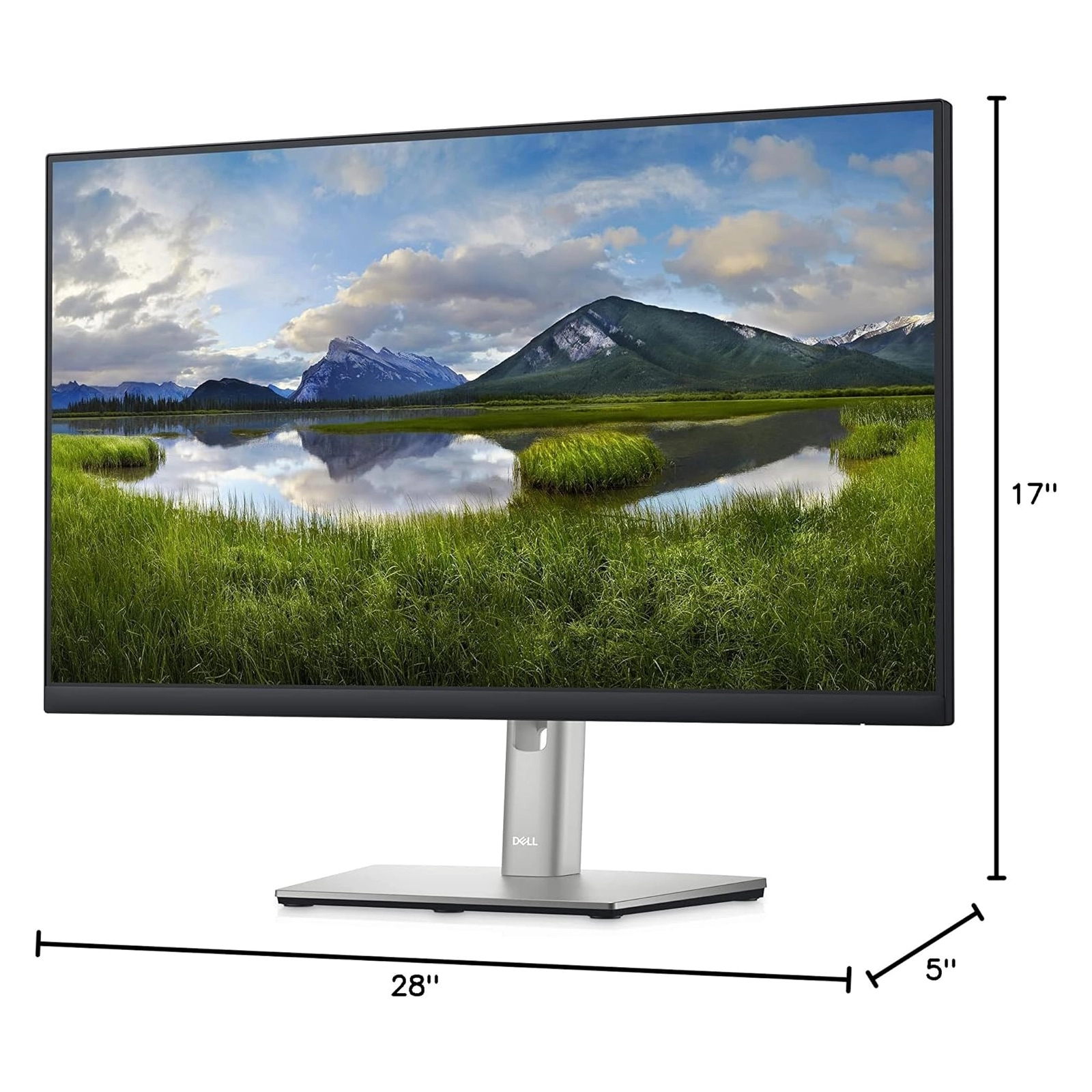 P2422HE 24″